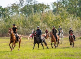 ügyességi háziverseny lovaglás lovasoktatás