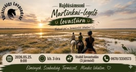 ügyességi háziverseny lovaglás lovasoktatás