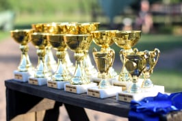 ügyességi háziverseny lovaglás lovasoktatás